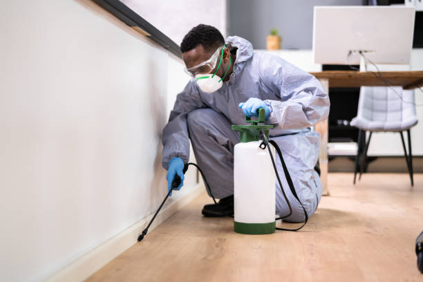 Best Pest Exclusion Services  in Port Jervis, NY